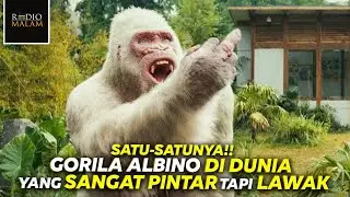 HE'S THE ONLY ALBINO GORILLA IN THE WORLD - Rampage (2018) Movie Plot