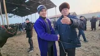 20-YANVAR. 2024-YIL SAMARQAND PASTDARGOM JUMA MOL BOZORI