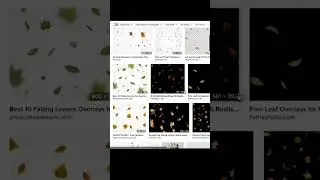 OVERLAYS 
