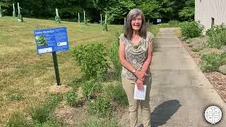 "How-to" Green Your Parish - Episode 36: St. Demetrios Green Team - Parkville, MD