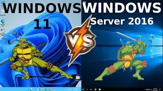 Windows 11 vs Windows Server 2016: RAM + CPU Usage