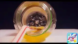 Slow Motion