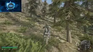days gone