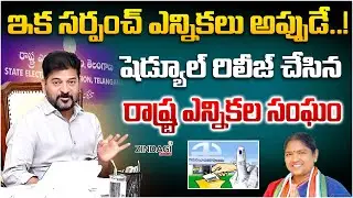 బీసీ రిజర్వేషన్ చిక్కులో సర్పంచ్ ఎన్నికలు  || Sarpanch Elections Latest Update || Cm Revanth Reddy