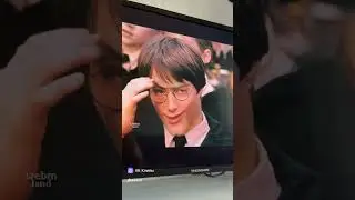 Сасный тренд ныне