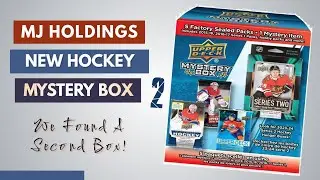 MJ HOLDINGS: BRAND NEW MYSTERY BOX 2 | WILD FIND!