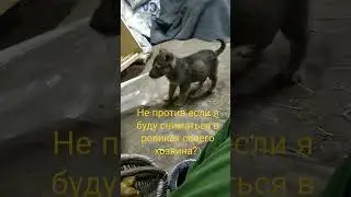 Новый труженик в нашем хозяйстве!