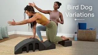 Bird Dog Variations for Oblique Strength | Exercise Break