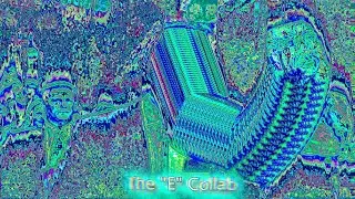 The 