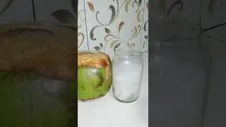 Kelapa Muda