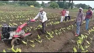 VST RT-70 Power Weeder