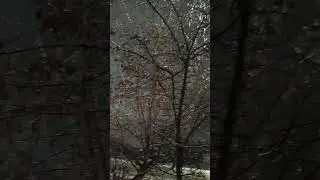 Сказочная погода в Орле