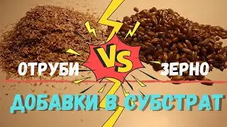 Добавки для грибных блоков - сколько сыпать в субстрат ?