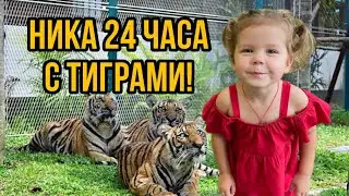 Ника 24 часа с тиграми! Готовим кекс в кружке за 5 минут!