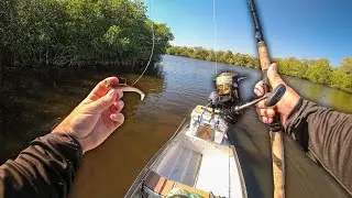 I Can't Believe a Giant Slammed this Tiny Lure!