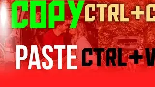 How to copy Text and paste