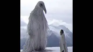 OPIUM X EROSION BIRD TYPE BEAT 