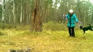 Пуллер для собак