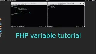PHP variable tutorial