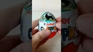 Kinder surprise Natoons