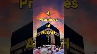 4 Promises of Allah (SWT) 🕋 #allahﷻ #islam #shorts #trending