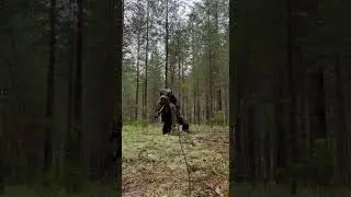 ТСП индивидуальная подготовка подписчика