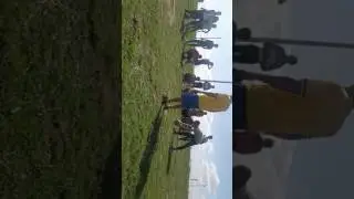 Alel agro