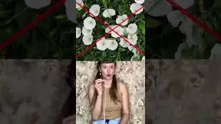 Если ты случайно потрогал это растение СРОЧНО ЗОВИ НА ПОМОЩЬ