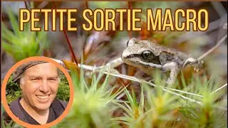 Petite sortie macro