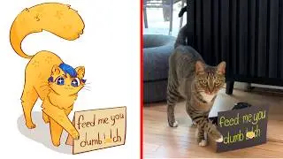 CAT MEMES: INSIDE OUT 2 (inspired)