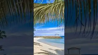 5 Fun Facts about ANTIGUA AND BARBUDA 🇦🇬 #antiguaandbarbuda #devoid #subscribe #funfacts #education
