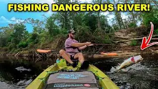 We Tried Fishing a DANGEROUSLY LOW River!