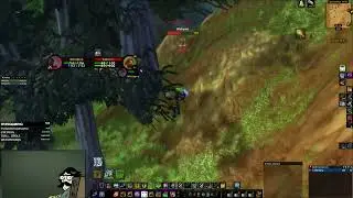 This Rogue and Mage got DESTROYED