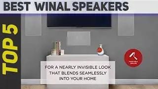 Top 5 Best  Winal Speakers 2022