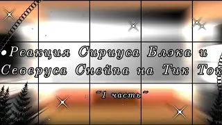 ✨~Реакция Сириуса Блэка и Северуса Снейпа на Тик Ток~✨ •1 часть• {Гарри Поттер}