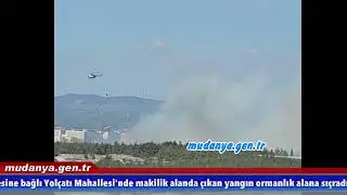 Bursa'da Korkutan Orman Yangını Uludağ Üniversitesine Dayandı