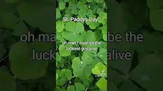st paddy's day