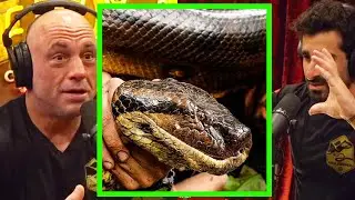 Paul Rosolie's 25ft Anaconda Encounter In The Amazon | JRE
