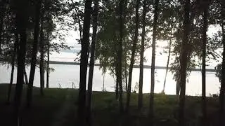 27 мая 2019 г.