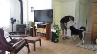 VoxCommando - Scenario: Coming Home from Work