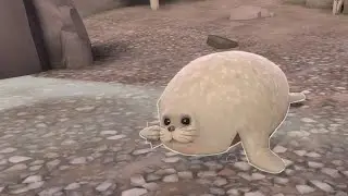 Normal video of TF2 Seal