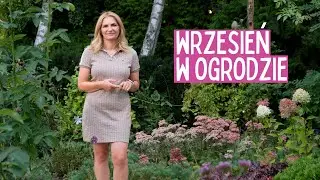 Ważne Prace Ogrodowe na Wrzesień: Przycinanie, Nawożenie i Plany na Przyszły Rok