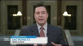 Zac Schultz on Wisconsin's separation of powers lawsuit | Here & Now