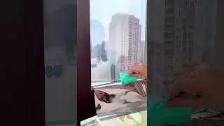 Product Link in Bio ( # 1756 )  