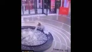 Прикол