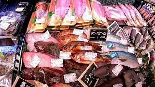 Fish Market in Japan. Tourist lunch for 350 rubles!