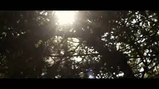 Video Cinematic - Cahaya Pagi