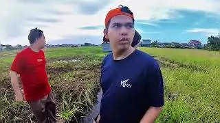 Jalan ke sawah dekat rumah
