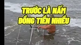 XYPHON CHẤT BẨN I Trần Quang Huy Official