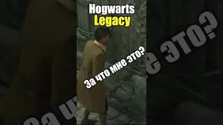 За что мне это профессор? #hogwartslegacy #hogwartslegacyозвучка #hogwartslegacyюмор